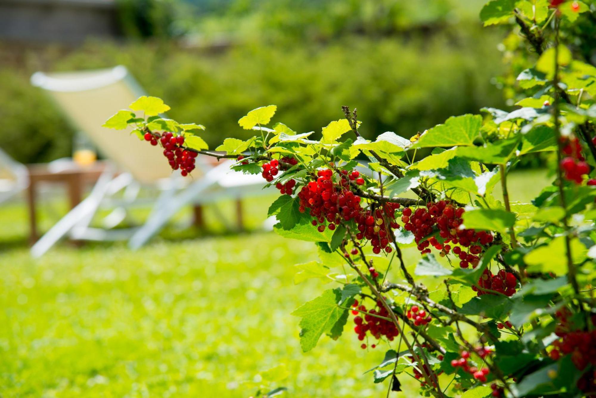 Le Logis D'Aze Bed & Breakfast Exterior photo